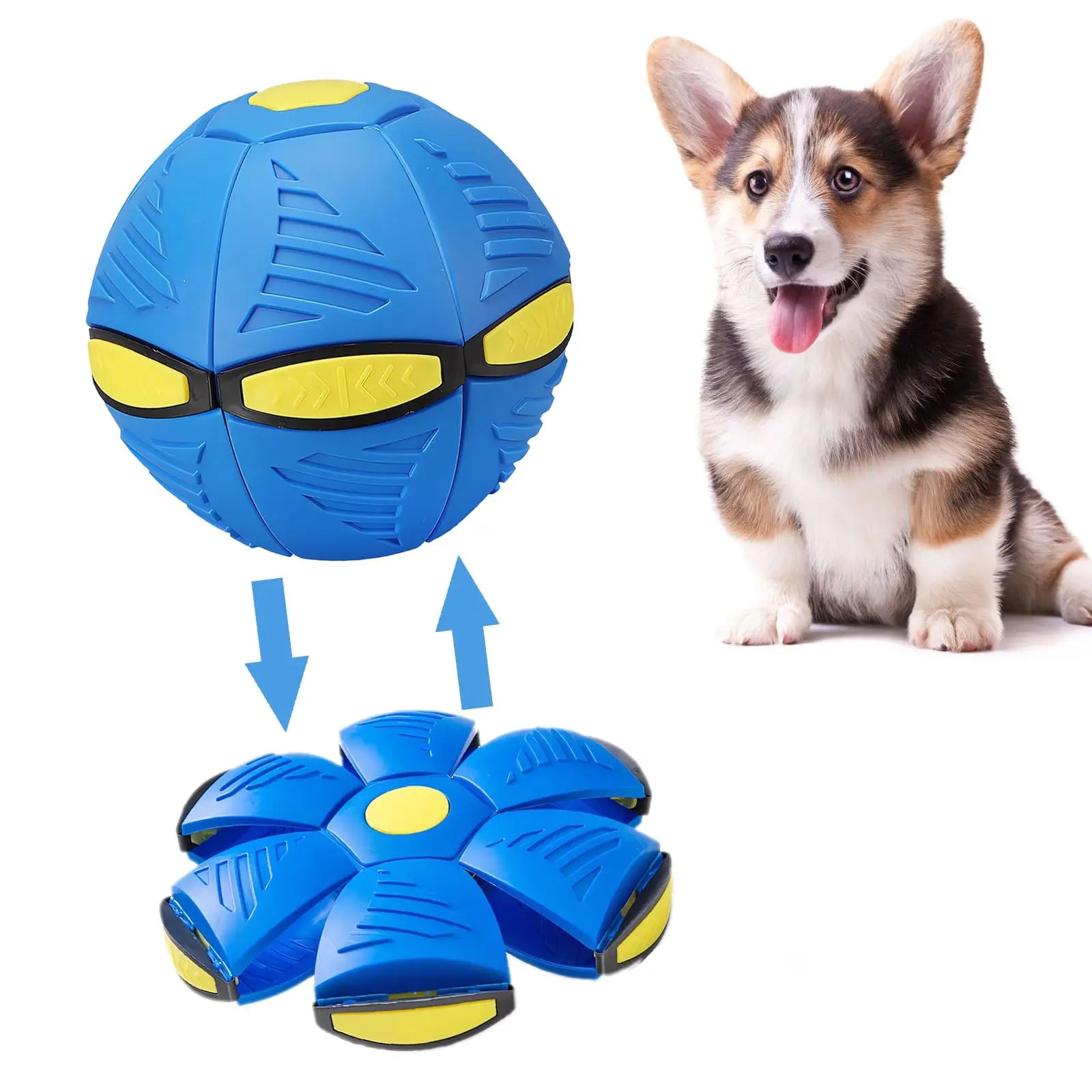 Flying Saucer Dog Ball